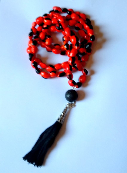 Imagem 4