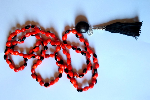 Imagem 4