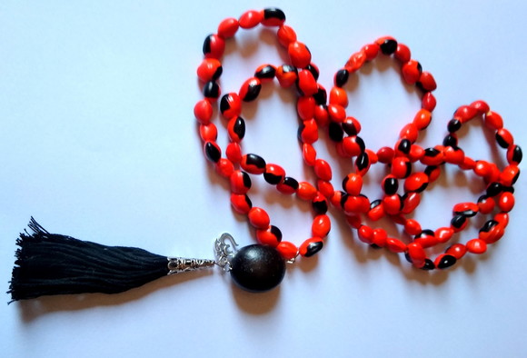 Imagem 3
