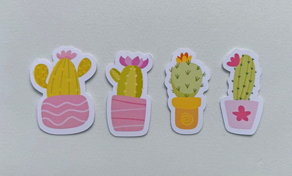 Apliques Cactos - Imagem 2