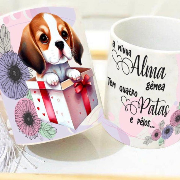 Imagem 1