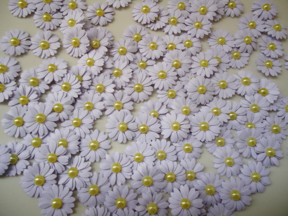 50 mini margarida