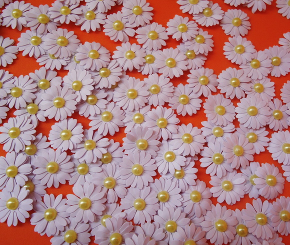 Imagem 4