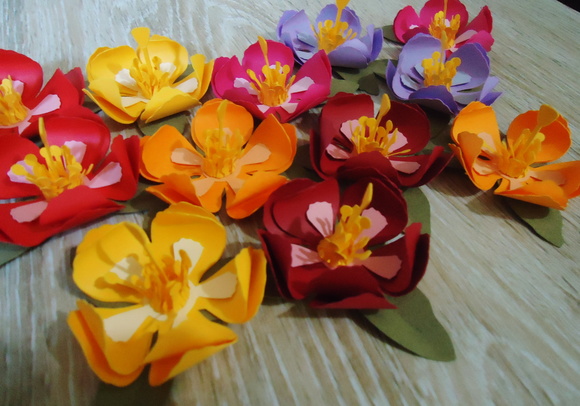 Imagem 3
