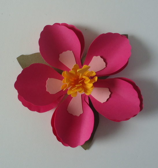 Imagem 2