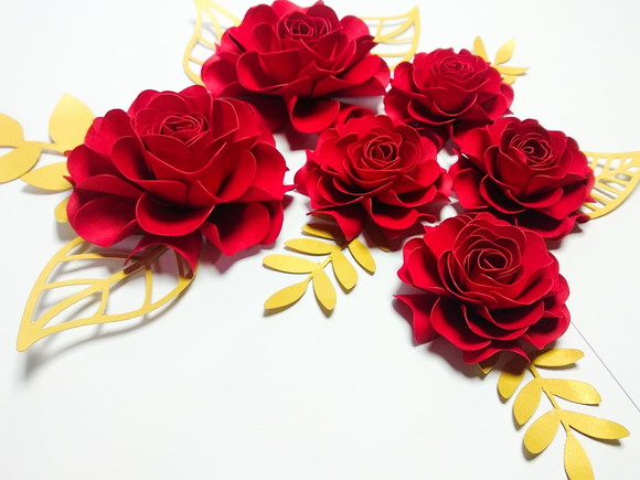 Imagem 5
