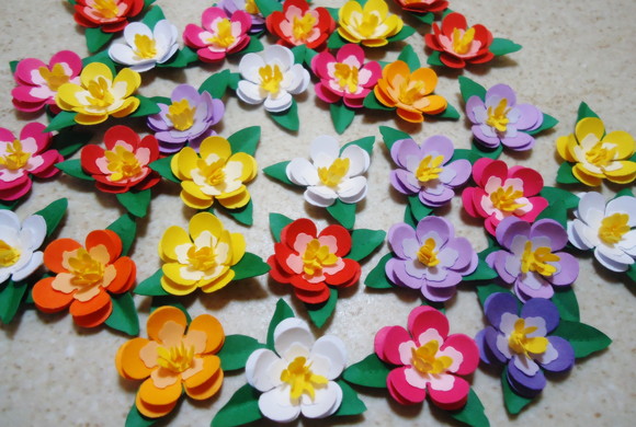 Imagem 4