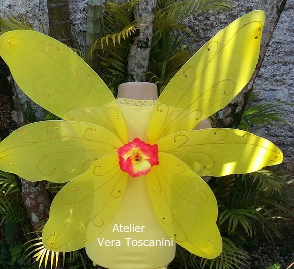 Imagem 2