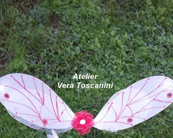 Imagem 5