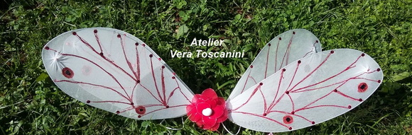 Asa de fada mia