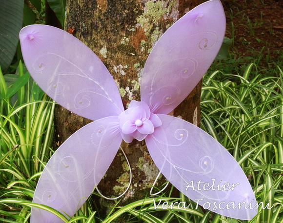 Imagem 4