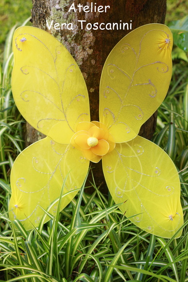 Imagem 5
