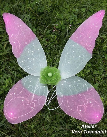 Imagem 5