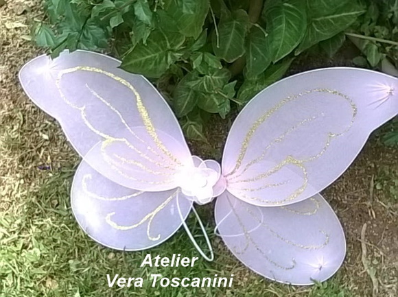 Imagem 5