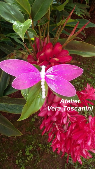 Imagem 3