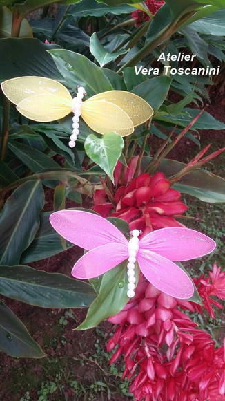 Imagem 4