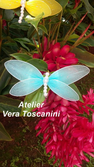 Imagem 5