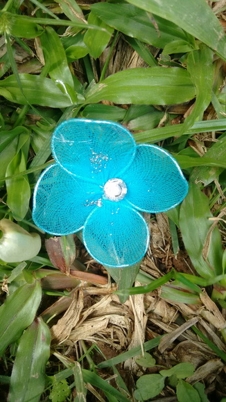 Imagem 3
