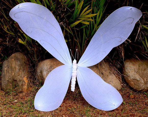 Imagem 4