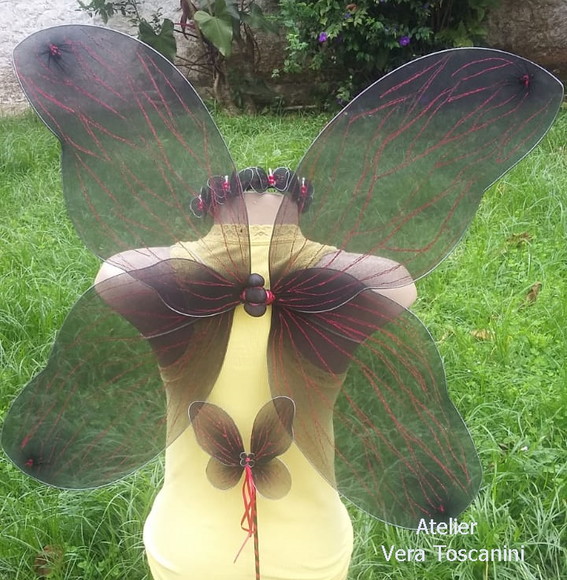 Imagem 3