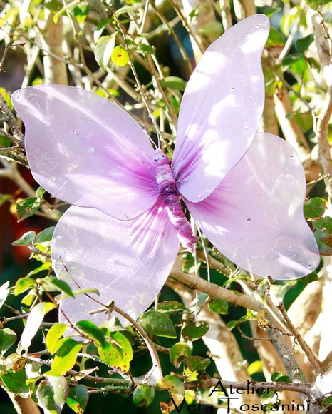 Imagem 4