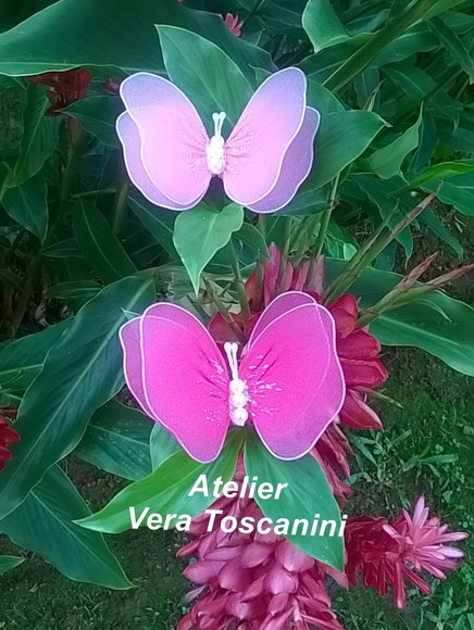 Imagem 5