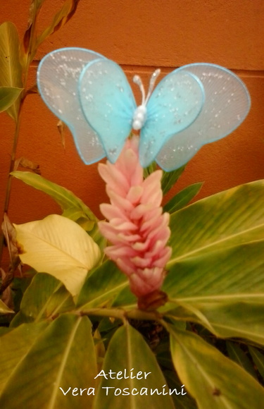 Imagem 3