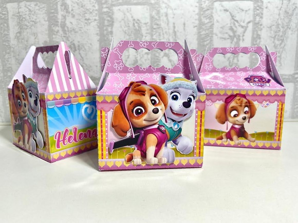 Caixa Maletinha Personalizada Patrulha Canina Rosa Menina