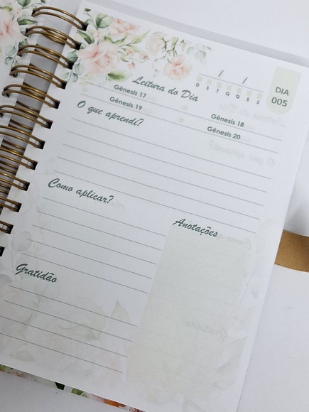 Imagem 4