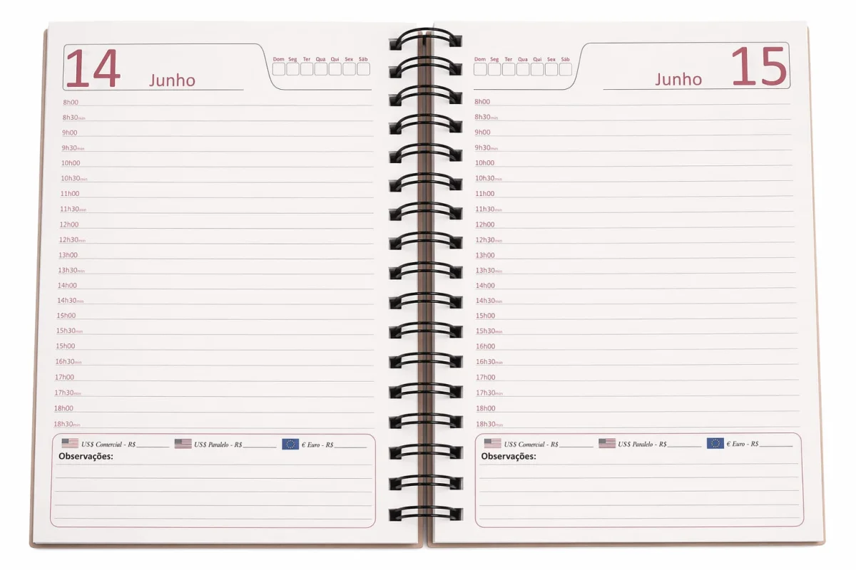 Agenda Permanente Capa MDF | Feminina | Reutilizável - Imagem 6