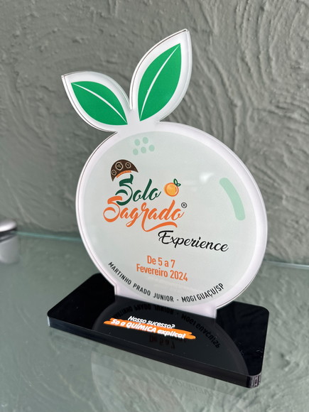 Troféu Homenagem em Acrílico