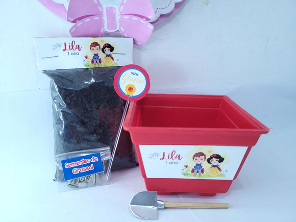 Imagem 3