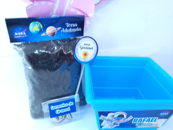 Imagem 3