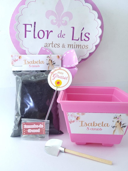 Imagem 2