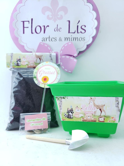 Imagem 4