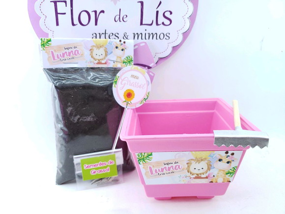 Imagem 4