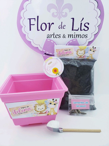 Imagem 2