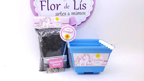 Imagem 5