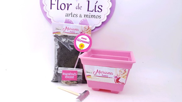 Imagem 4