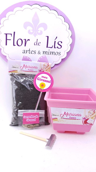 Imagem 2