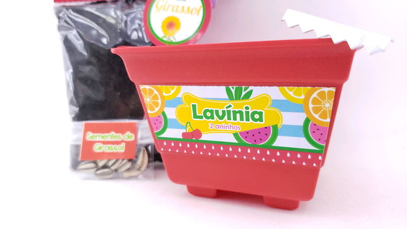 Kit Jardinagem Plantação Quitandinha Festa Frutinhas Feira