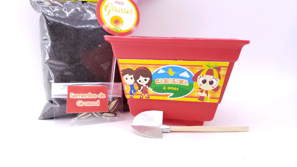 Imagem 3