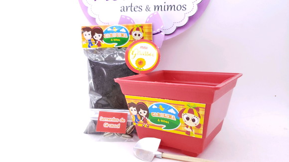 Imagem 4