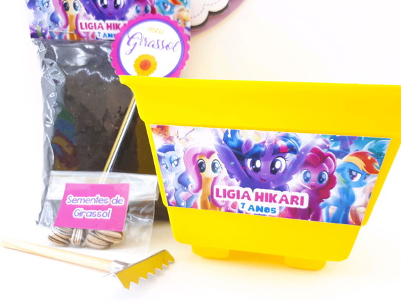 Kit Ecológico My Little Pony Lembrancinha