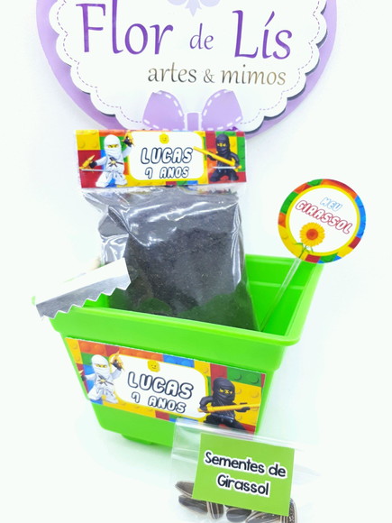 Imagem 3