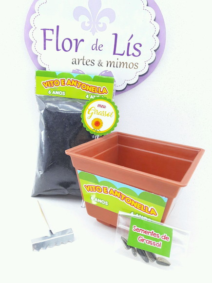 Imagem 3