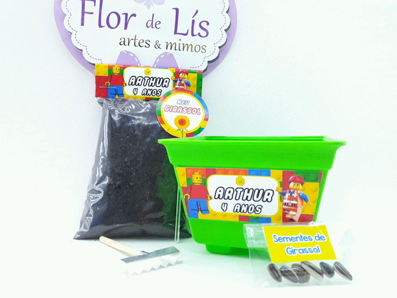 Imagem 2