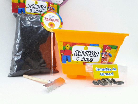 Imagem 4