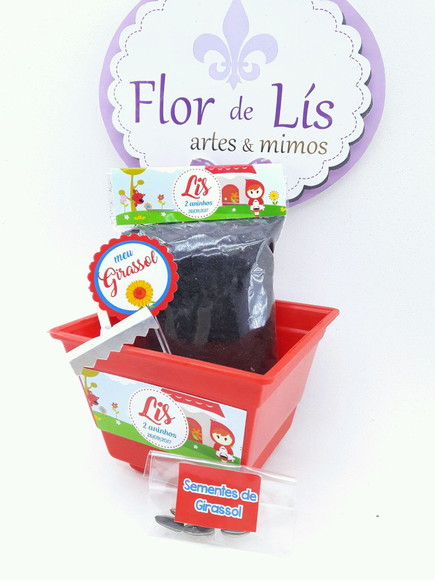 Imagem 4