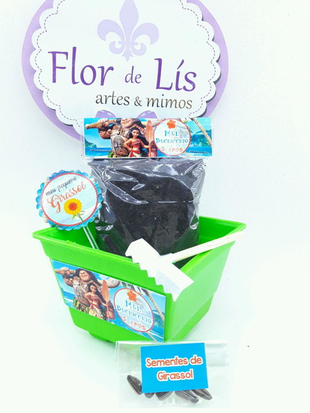 Imagem 3